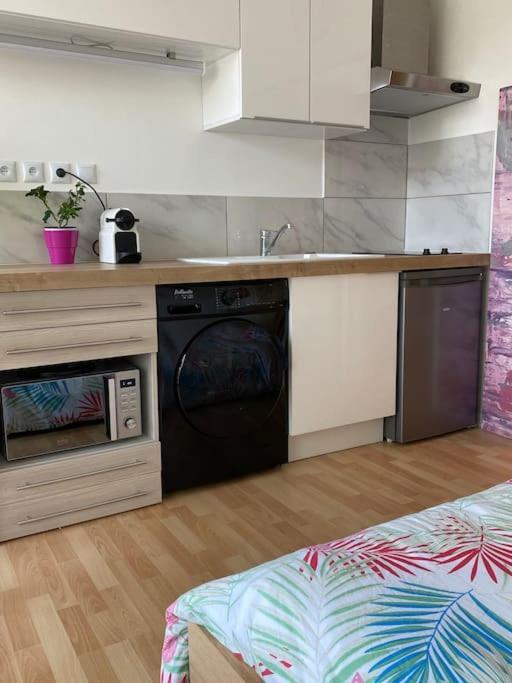 Le Cosy Tassin - Rez De Jardin 아파트 외부 사진